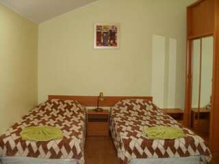 Отель Mini Hotel Pale Черноморск Стандартный двухместный номер с 1 кроватью или 2 отдельными кроватями-8